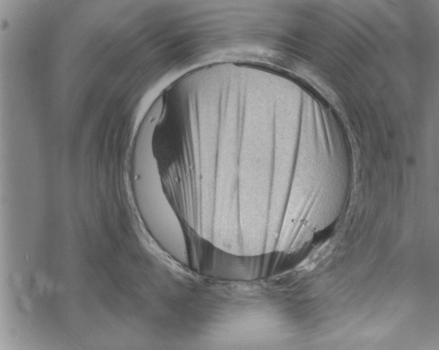 X0000067510960200605051826