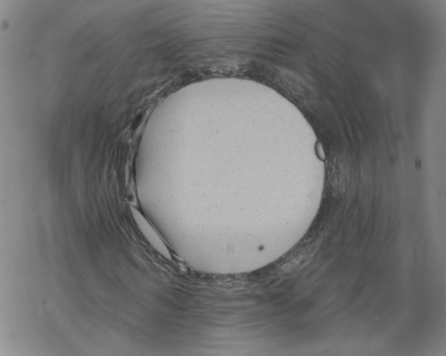 X0000067510962200605051825