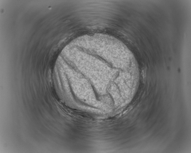 X0000067510963200605051825