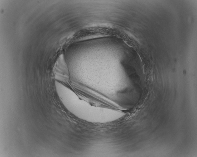 X0000067510965200605051825