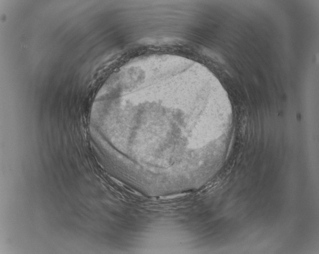 X0000067510966200605051825