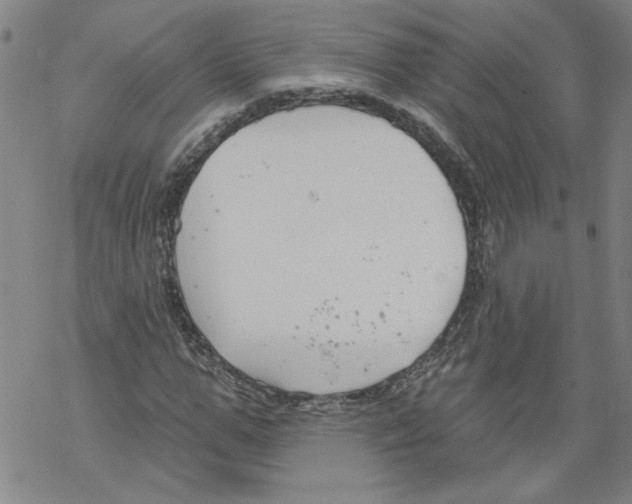 X0000067510967200605051825