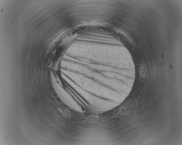 X0000067510968200605051825