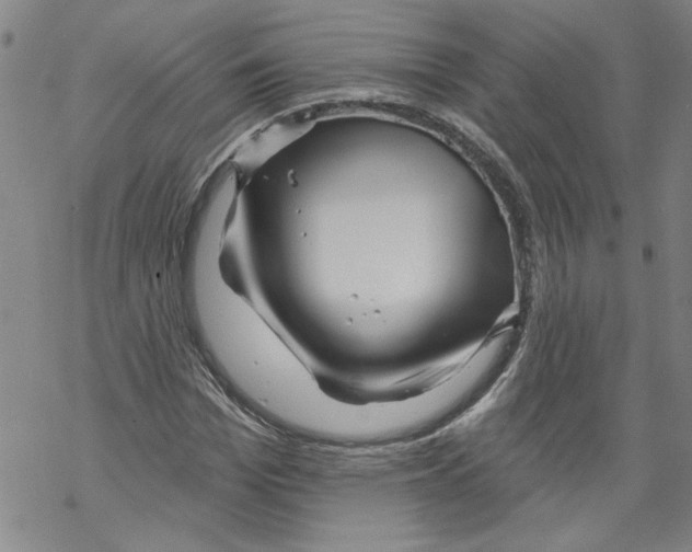 X0000067510969200605051825