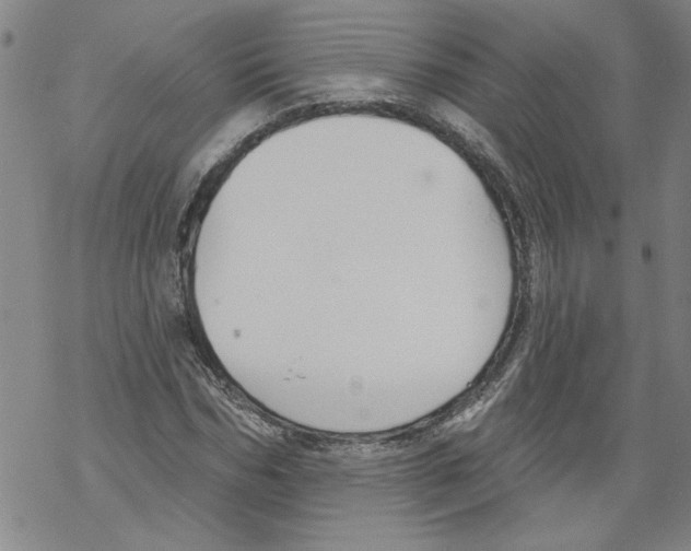 X0000067510970200605051825