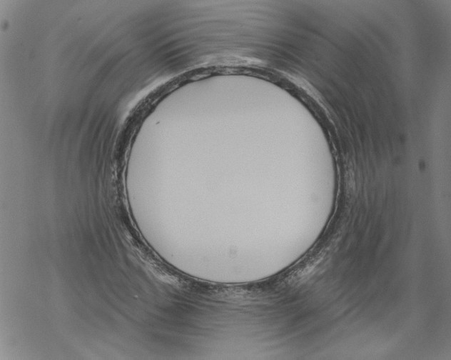 X0000067510971200605051825