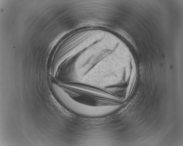 X0000067510972200605051825