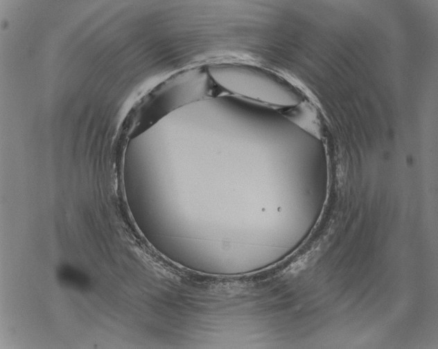 X0000067510973200605051825