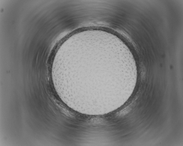 X0000067510974200605051825