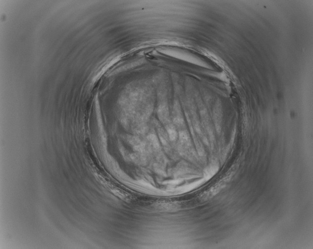 X0000067510977200605051825