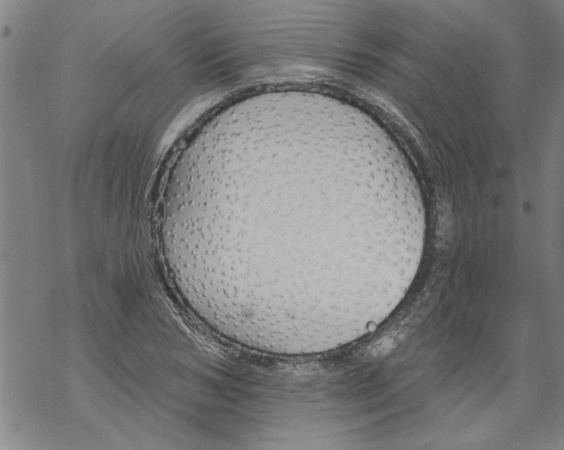 X0000067510978200605051825