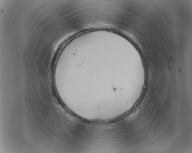 X0000067510979200605051825