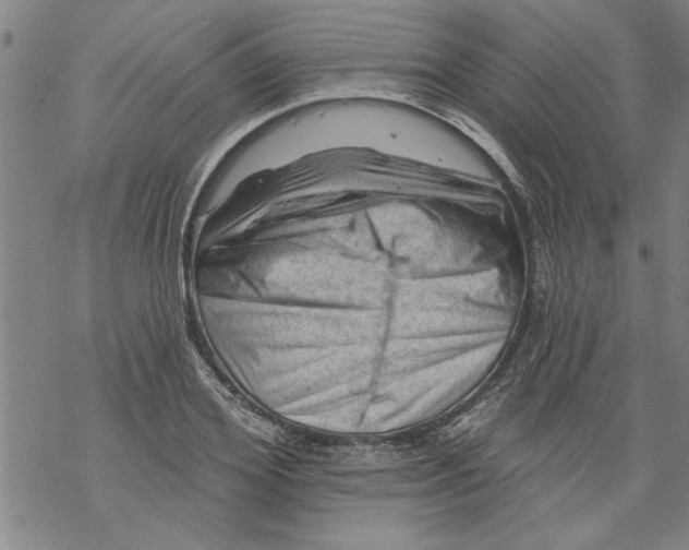 X0000067510980200605051825