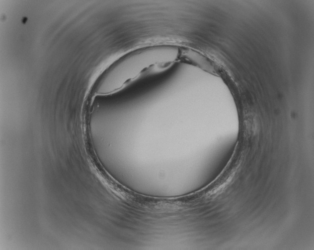 X0000067510981200605051825