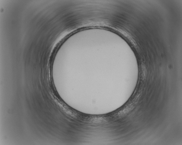 X0000067510982200605051825