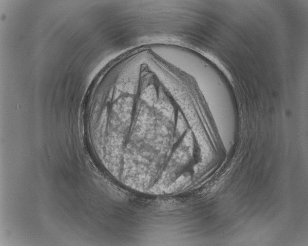 X0000067510983200605051825