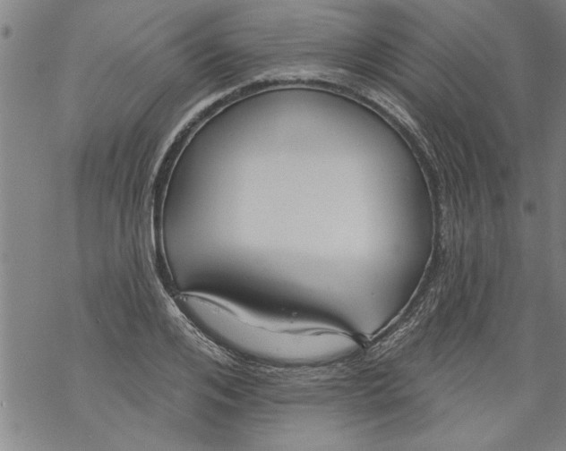 X0000067510984200605051825