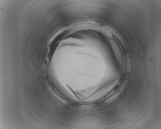 X0000067510985200605051825