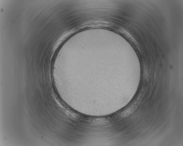 X0000067510986200605051825