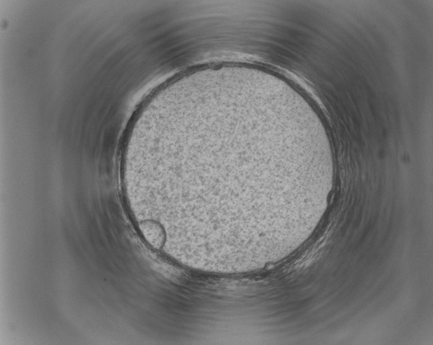 X0000067510987200605051824