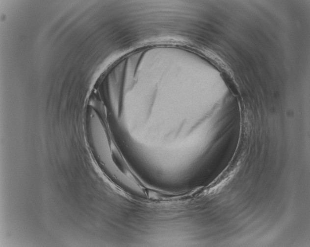 X0000067510989200605051824