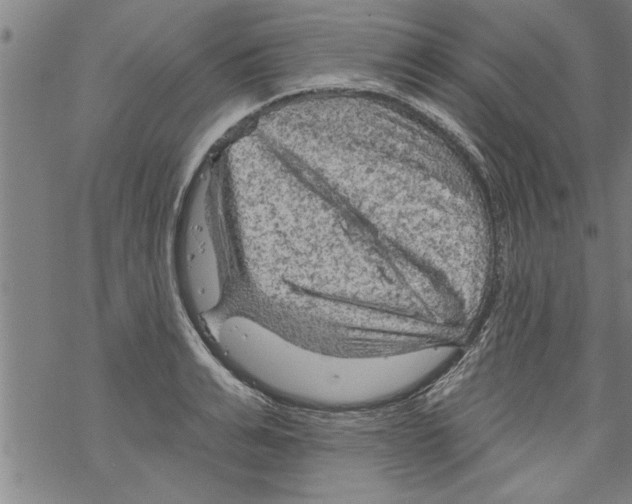 X0000067510991200605051824