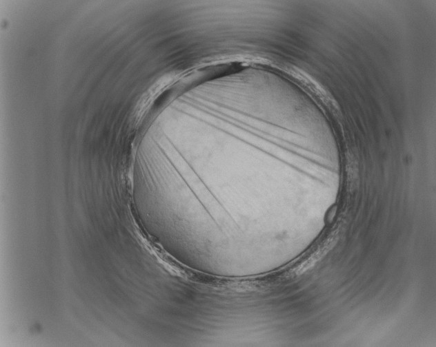 X0000067510993200605051824