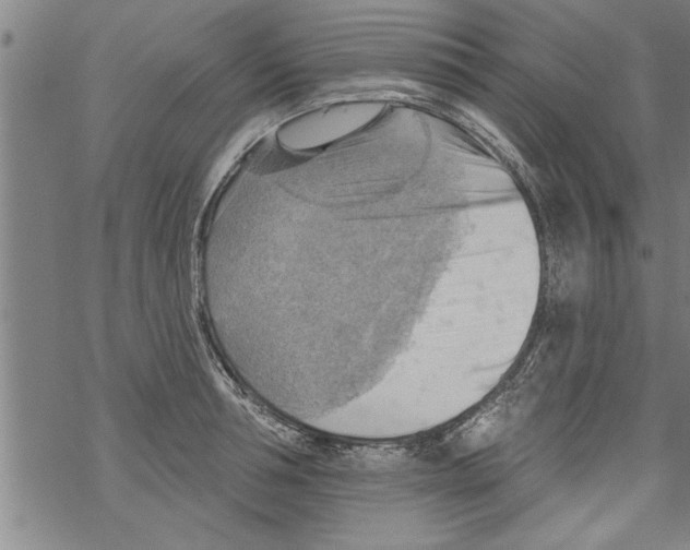 X0000067510994200605051824