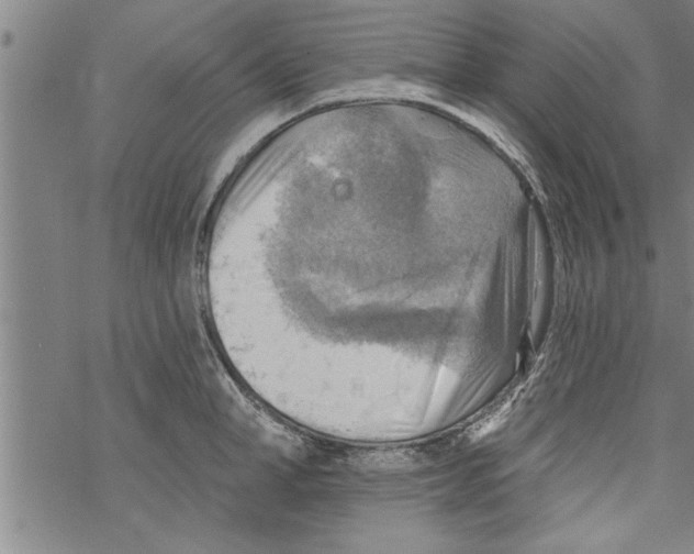 X0000067510998200605051824