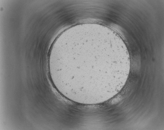 X0000067511000200605051824