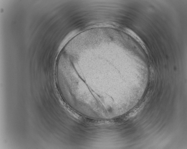 X0000067511002200605051824