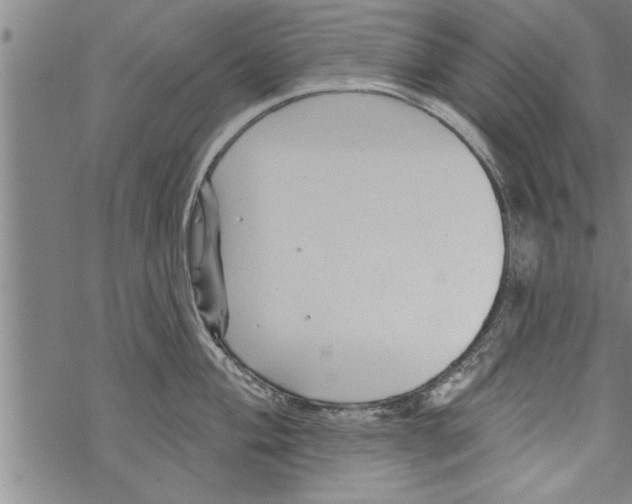 X0000067511004200605051824