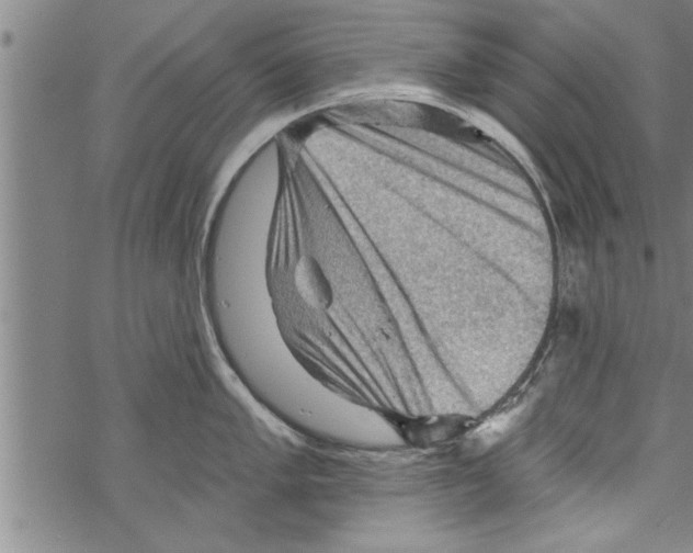 X0000067511005200605051824