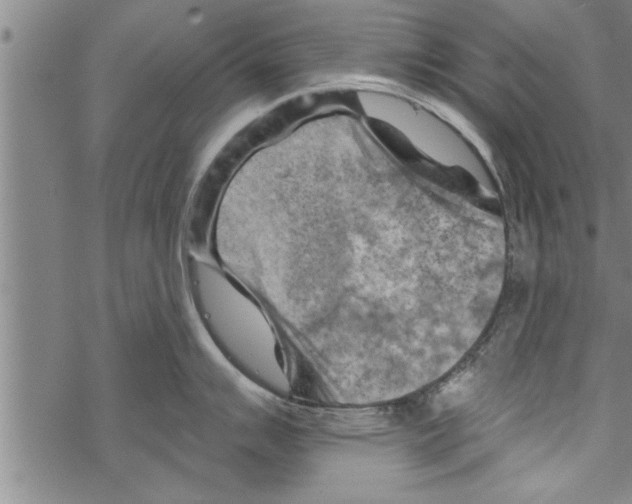 X0000067511007200605051824