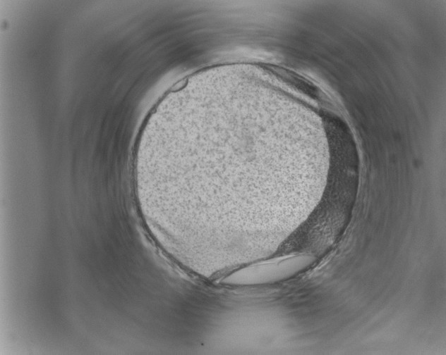 X0000067511008200605051824