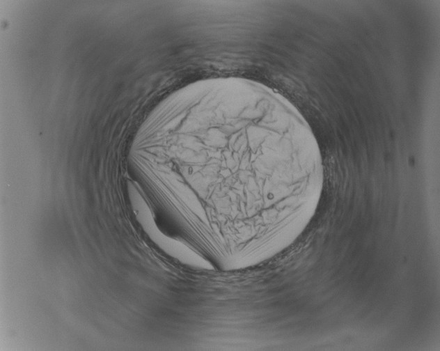 X0000067511009200605051823