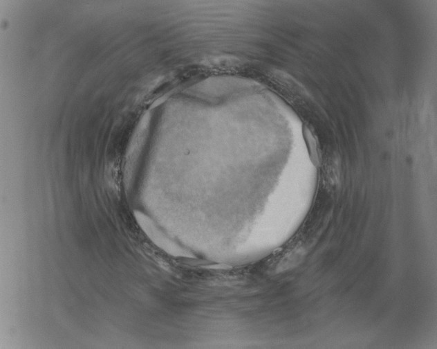 X0000067511010200605051823