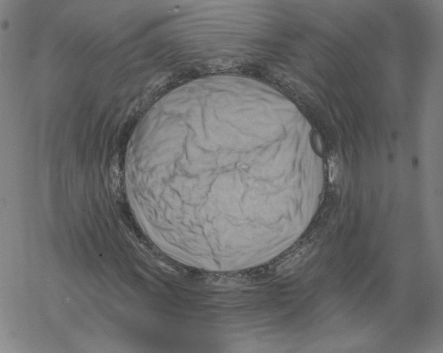 X0000067511011200605051823