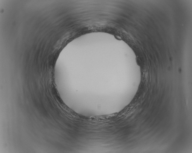 X0000067511012200605051823