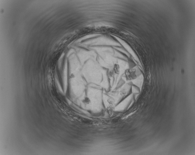 X0000067511014200605051823