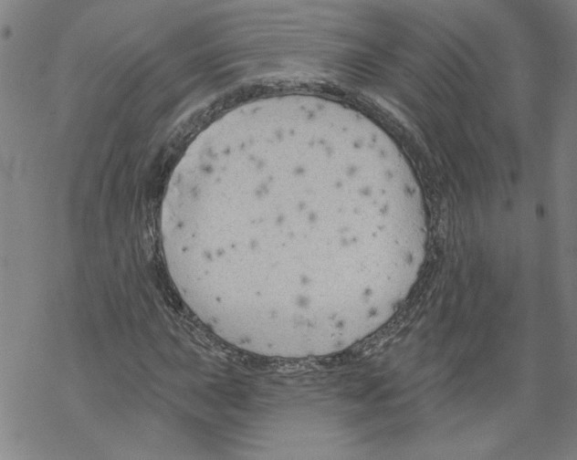 X0000067511015200605051823