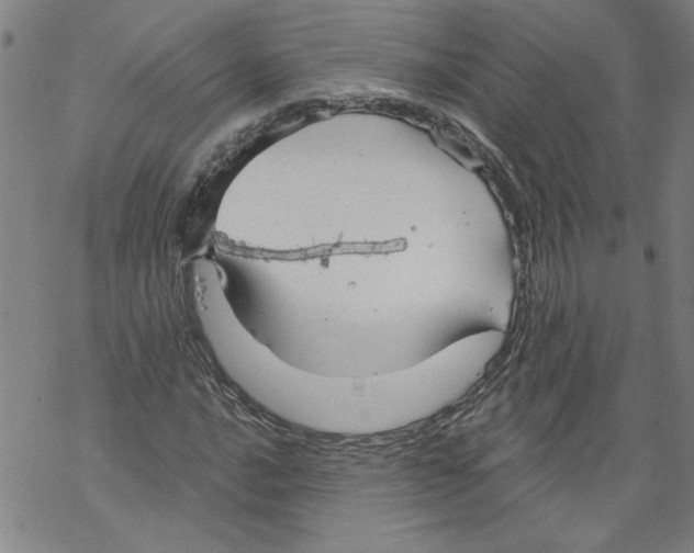 X0000067511016200605051823