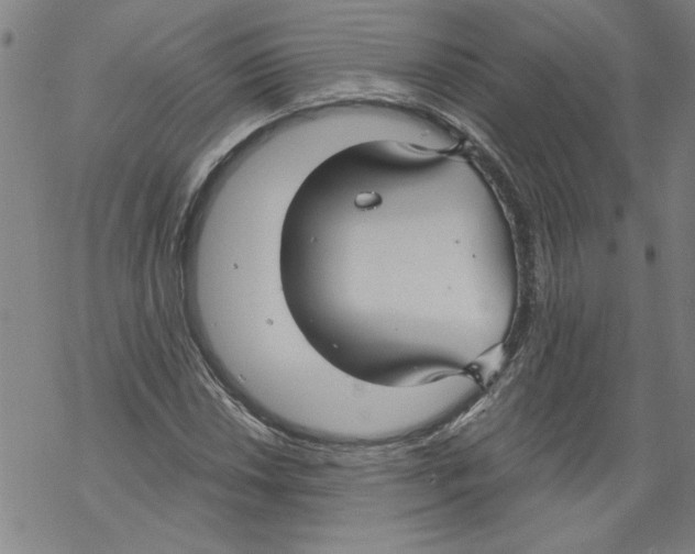 X0000067511018200605051824