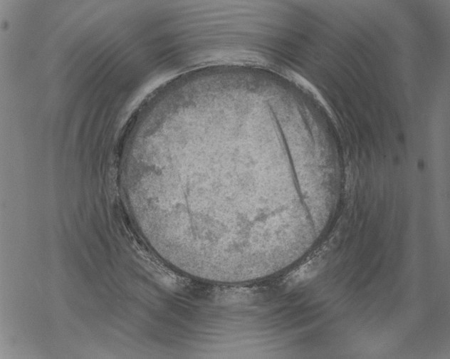 X0000067511019200605051824