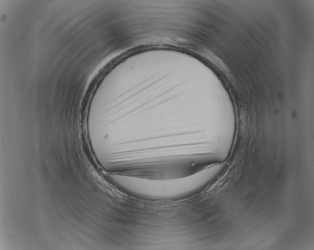 X0000067511020200605051824