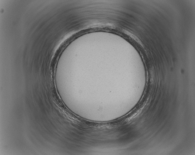 X0000067511021200605051824