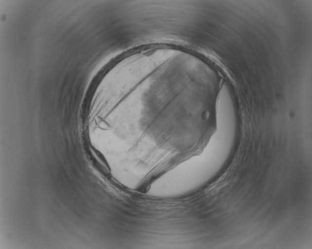 X0000067511024200605051824