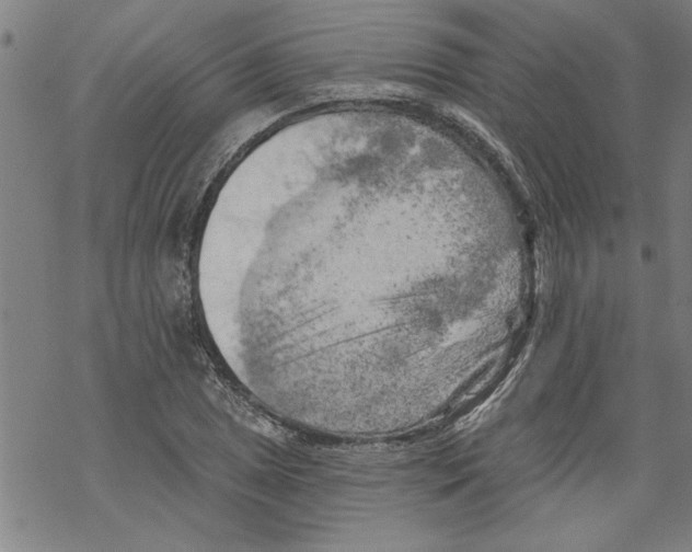 X0000067511025200605051824