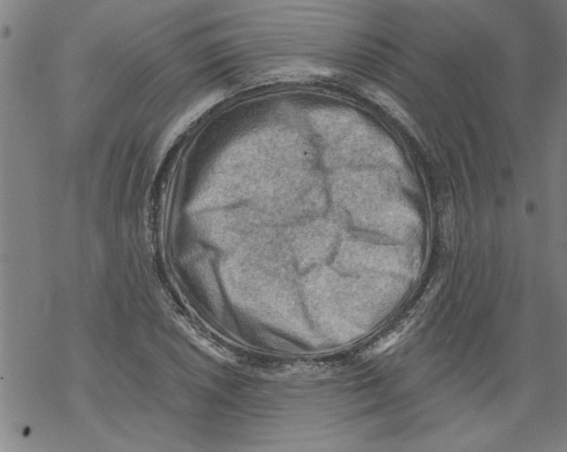 X0000067511026200605051824