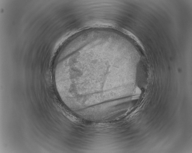 X0000067511027200605051824